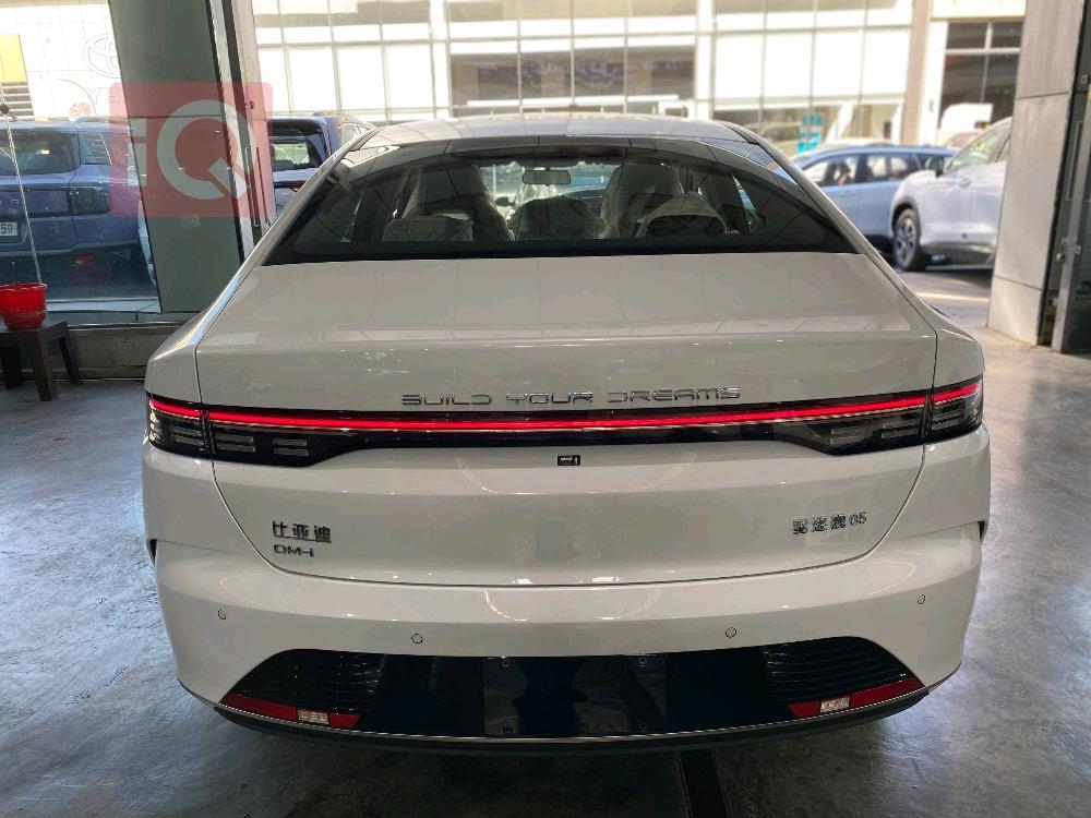 BYD Destroyer 05